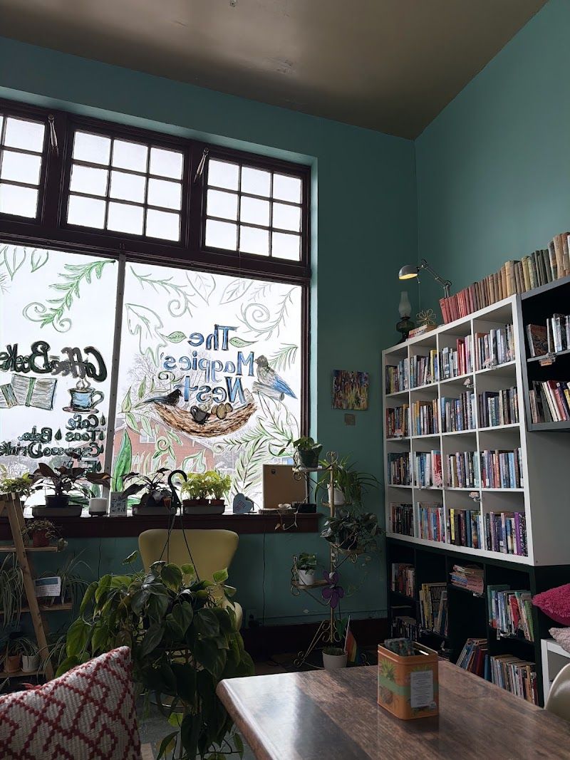 Inside The Magpies' Nest: a painted window with a magpie nest, full bookshelves, and hanging plants