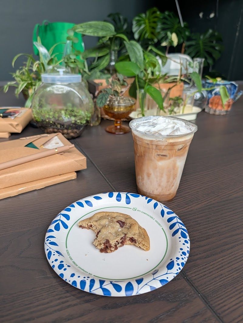 An iced latte and a cookie beside small terrariums